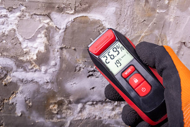 Best Mold Testing and Inspection Services in Woodlynne, NJ