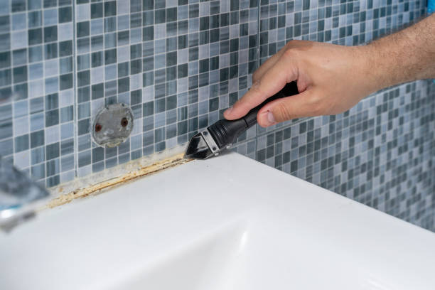 Best Emergency Mold Remediation in Woodlynne, NJ