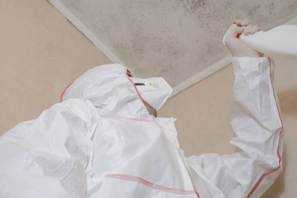 Best HVAC Mold Remediation in Woodlynne, NJ