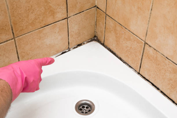 Best Residential Mold Remediation in Woodlynne, NJ